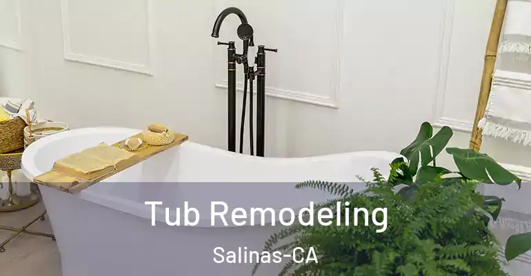 inner Bathroom imggen Tub Remodeling Salinas-CA