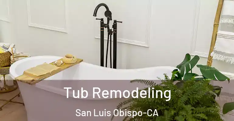inner Bathroom imggen Tub Remodeling San Luis Obispo-CA