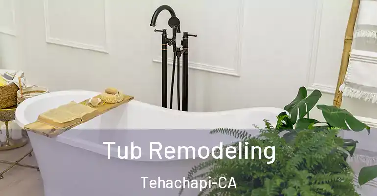 inner Bathroom imggen Tub Remodeling Tehachapi-CA