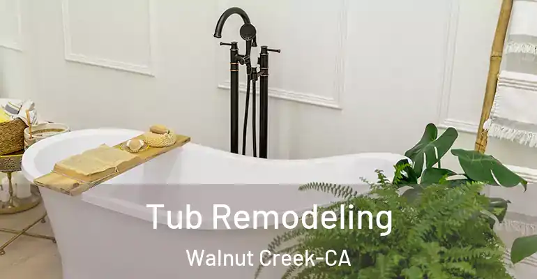 inner Bathroom imggen Tub Remodeling Walnut Creek-CA
