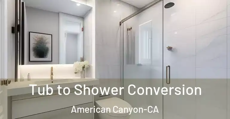inner Bathroom imggen Tub to Shower Conversion American Canyon-CA