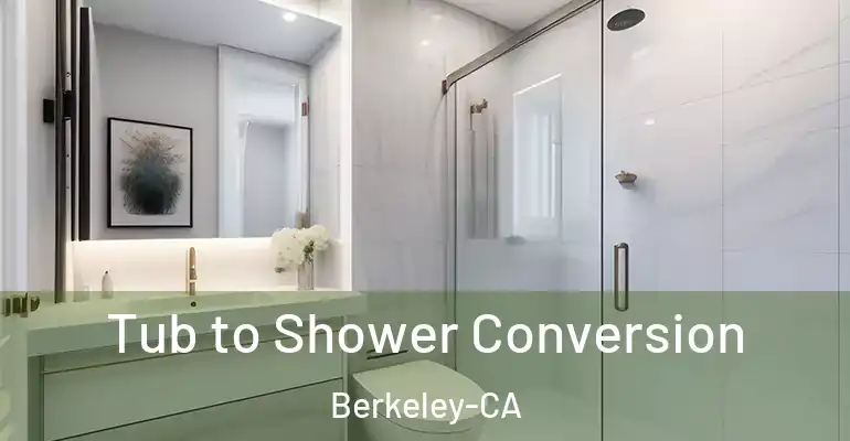 inner Bathroom imggen Tub to Shower Conversion Berkeley-CA