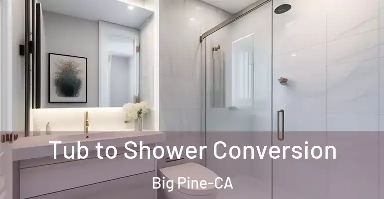 inner Bathroom imggen Tub to Shower Conversion Big Pine-CA