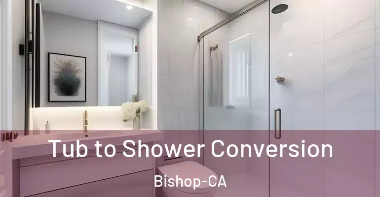 inner Bathroom imggen Tub to Shower Conversion Bishop-CA