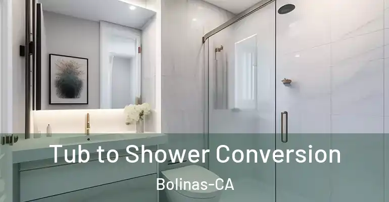 inner Bathroom imggen Tub to Shower Conversion Bolinas-CA