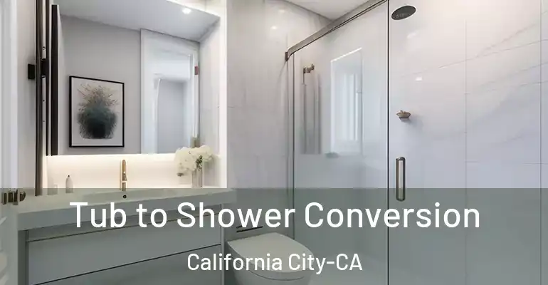 inner Bathroom imggen Tub to Shower Conversion California City-CA