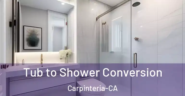 inner Bathroom imggen Tub to Shower Conversion Carpinteria-CA