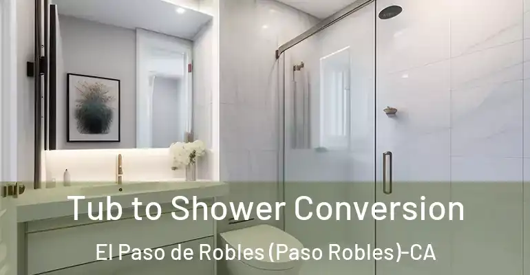 inner Bathroom imggen Tub to Shower Conversion El Paso de Robles (Paso Robles)-CA