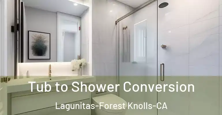 inner Bathroom imggen Tub to Shower Conversion Lagunitas-Forest Knolls-CA
