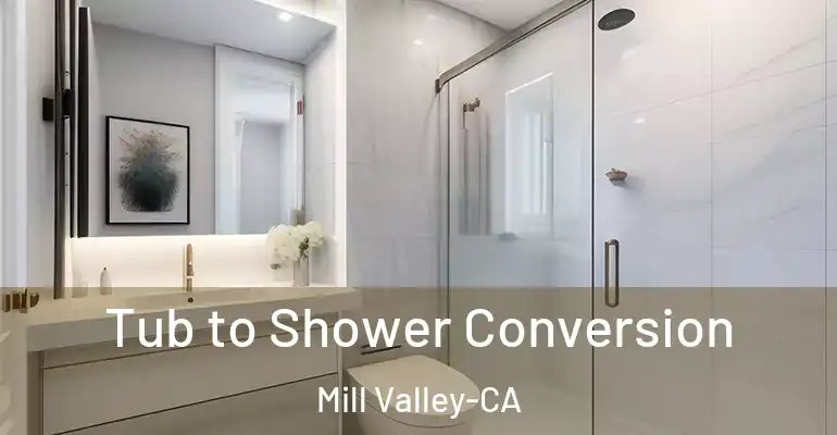 inner Bathroom imggen Tub to Shower Conversion Mill Valley-CA