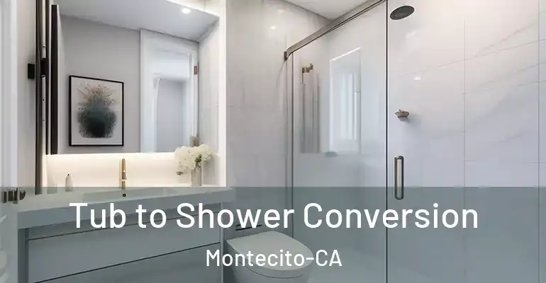 inner Bathroom imggen Tub to Shower Conversion Montecito-CA