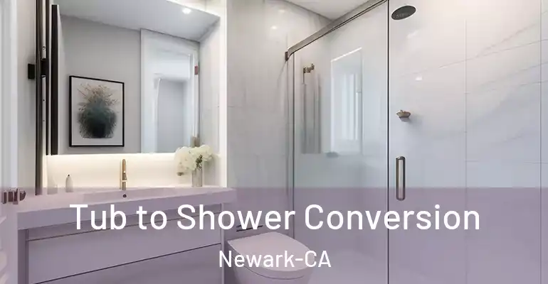 inner Bathroom imggen Tub to Shower Conversion Newark-CA