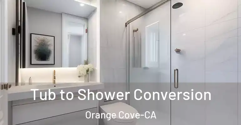 inner Bathroom imggen Tub to Shower Conversion Orange Cove-CA