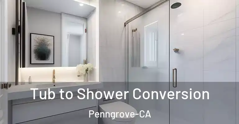 inner Bathroom imggen Tub to Shower Conversion Penngrove-CA