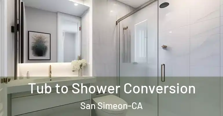 inner Bathroom imggen Tub to Shower Conversion San Simeon-CA