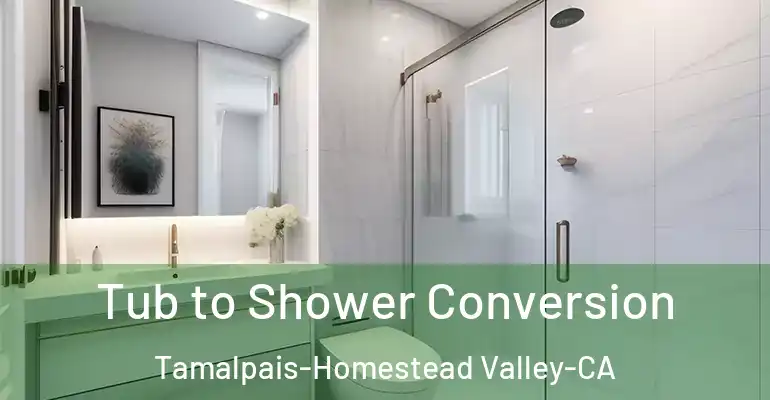 inner Bathroom imggen Tub to Shower Conversion Tamalpais-Homestead Valley-CA
