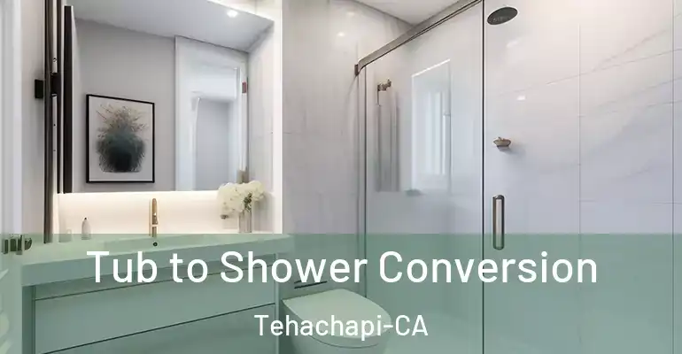 inner Bathroom imggen Tub to Shower Conversion Tehachapi-CA