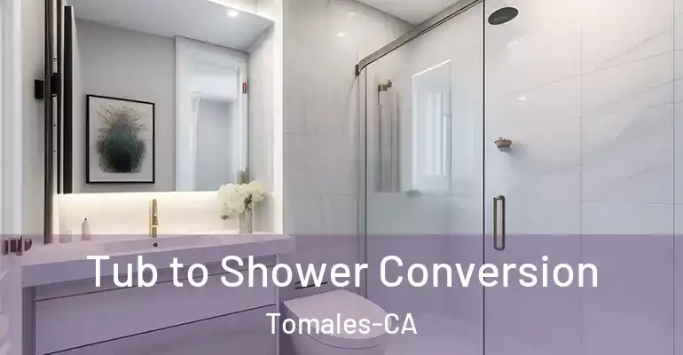 inner Bathroom imggen Tub to Shower Conversion Tomales-CA