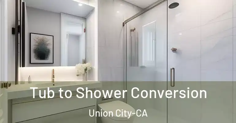 inner Bathroom imggen Tub to Shower Conversion Union City-CA