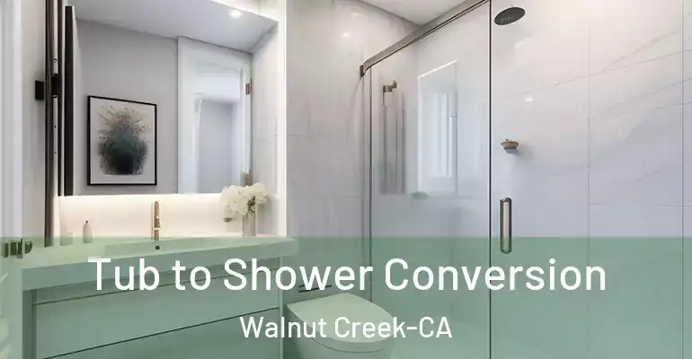 inner Bathroom imggen Tub to Shower Conversion Walnut Creek-CA