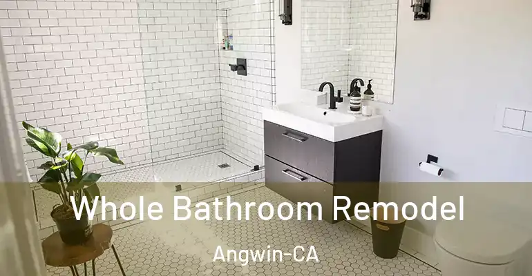 inner Bathroom imggen Whole Bathroom Remodel Angwin-CA