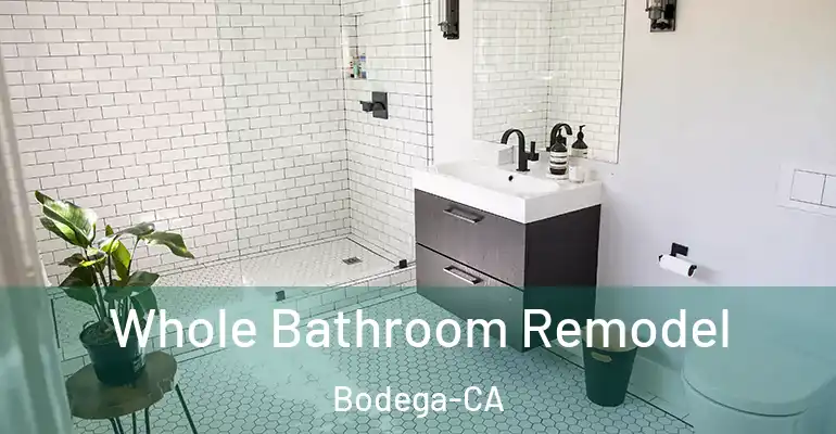 inner Bathroom imggen Whole Bathroom Remodel Bodega-CA