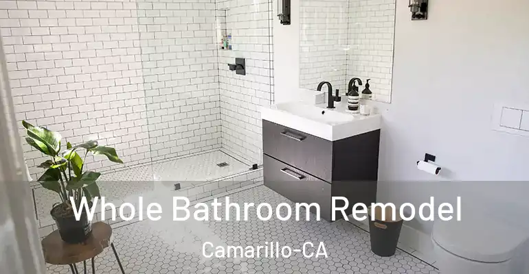 inner Bathroom imggen Whole Bathroom Remodel Camarillo-CA