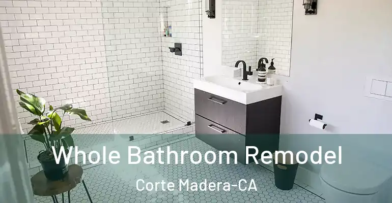 inner Bathroom imggen Whole Bathroom Remodel Corte Madera-CA