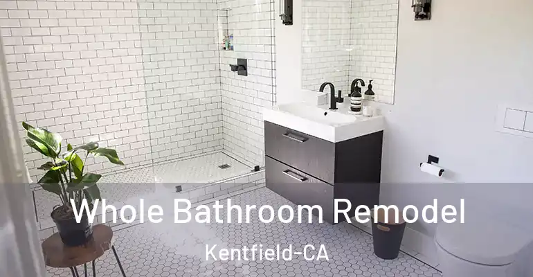 inner Bathroom imggen Whole Bathroom Remodel Kentfield-CA