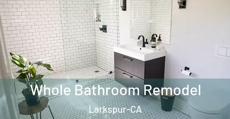 inner Bathroom imggen Whole Bathroom Remodel Larkspur-CA