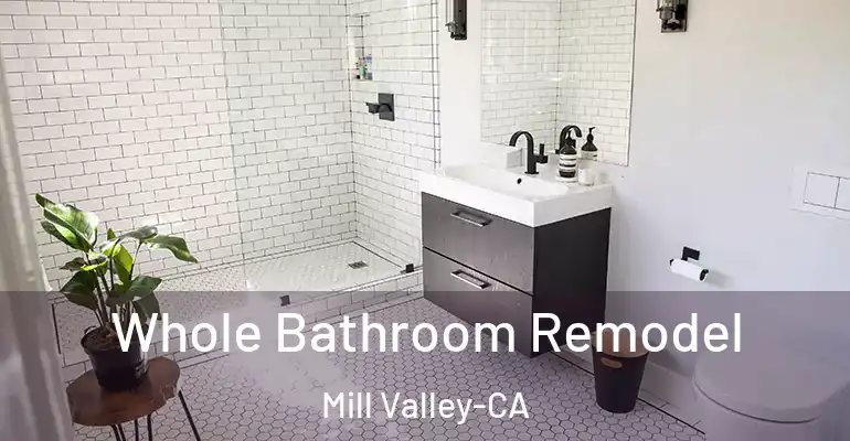 inner Bathroom imggen Whole Bathroom Remodel Mill Valley-CA