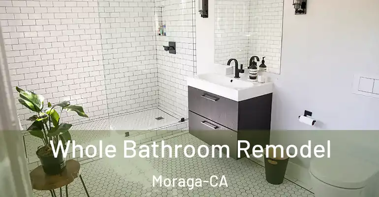 inner Bathroom imggen Whole Bathroom Remodel Moraga-CA
