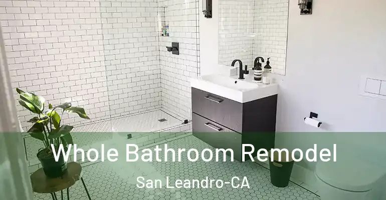 inner Bathroom imggen Whole Bathroom Remodel San Leandro-CA