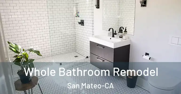 inner Bathroom imggen Whole Bathroom Remodel San Mateo-CA