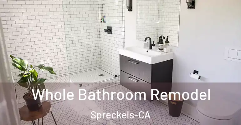 inner Bathroom imggen Whole Bathroom Remodel Spreckels-CA