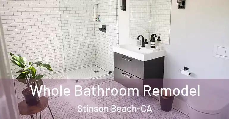 inner Bathroom imggen Whole Bathroom Remodel Stinson Beach-CA