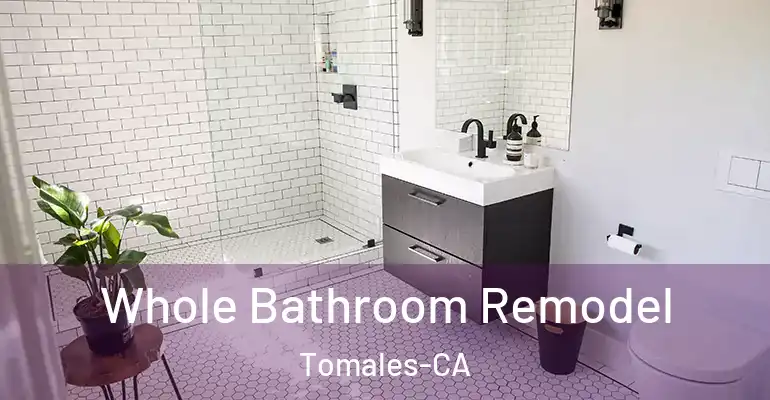 inner Bathroom imggen Whole Bathroom Remodel Tomales-CA